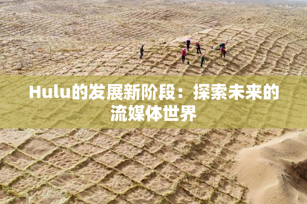 Hulu的发展新阶段：探索未来的流媒体世界