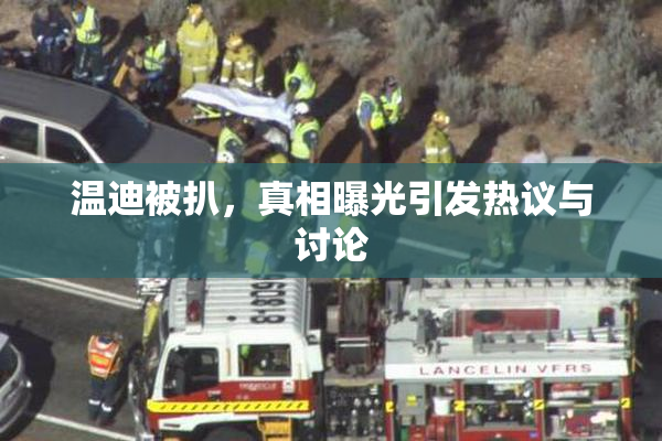 温迪被扒，真相曝光引发热议与讨论