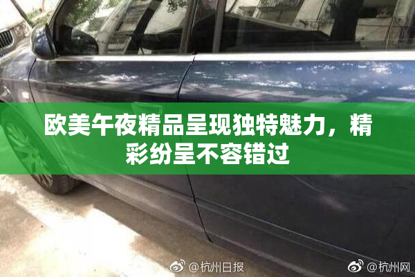 欧美午夜精品呈现独特魅力，精彩纷呈不容错过