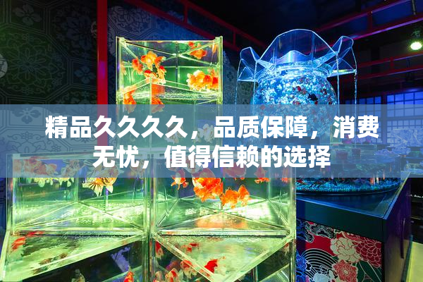 精品久久久久，品质保障，消费无忧，值得信赖的选择