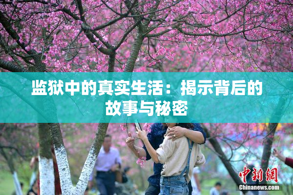 监狱中的真实生活：揭示背后的故事与秘密