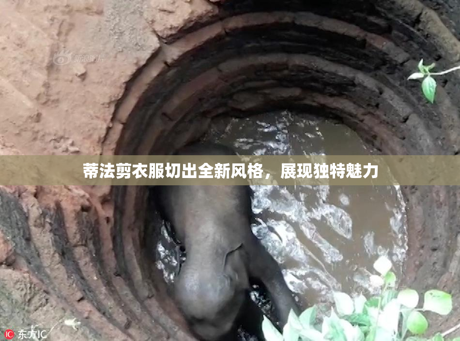 蒂法剪衣服切出全新风格，展现独特魅力