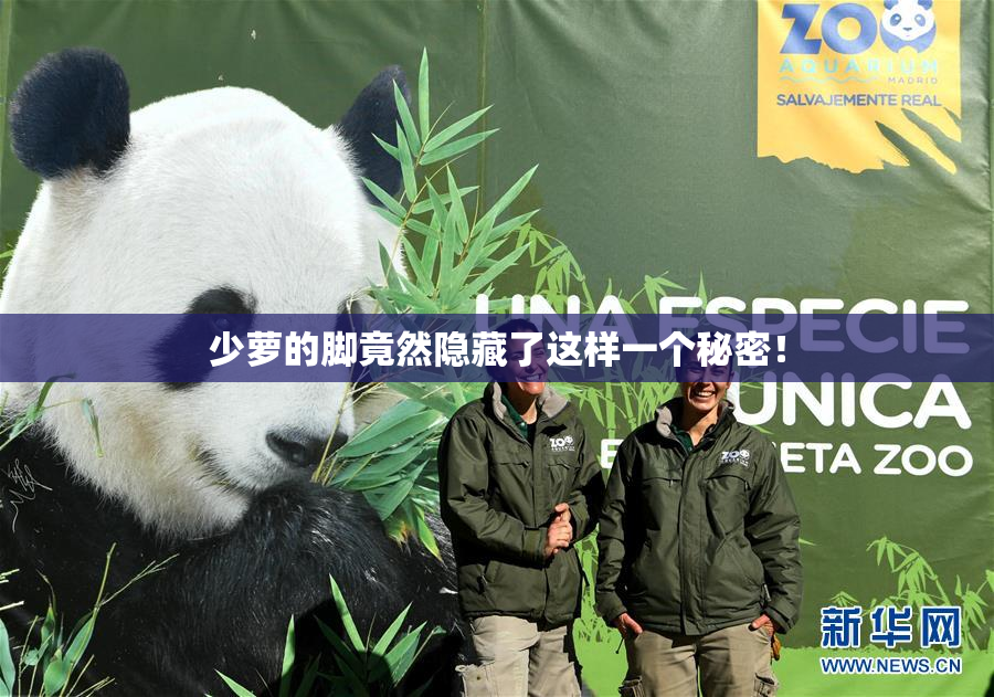 少萝的脚竟然隐藏了这样一个秘密！