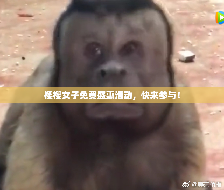 樱樱女子免费盛惠活动，快来参与！