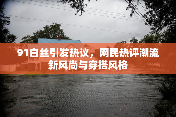 91白丝引发热议，网民热评潮流新风尚与穿搭风格