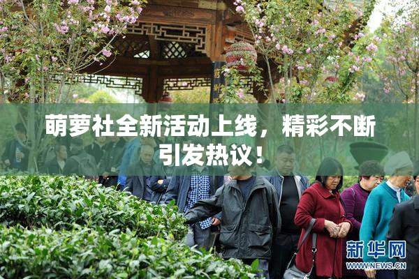 萌萝社全新活动上线，精彩不断引发热议！