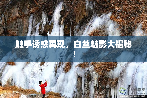 触手诱惑再现，白丝魅影大揭秘！