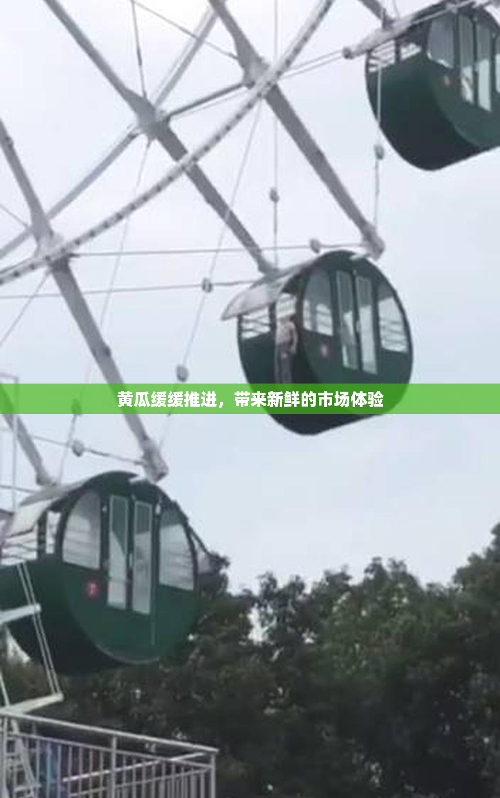 黄瓜缓缓推进，带来新鲜的市场体验