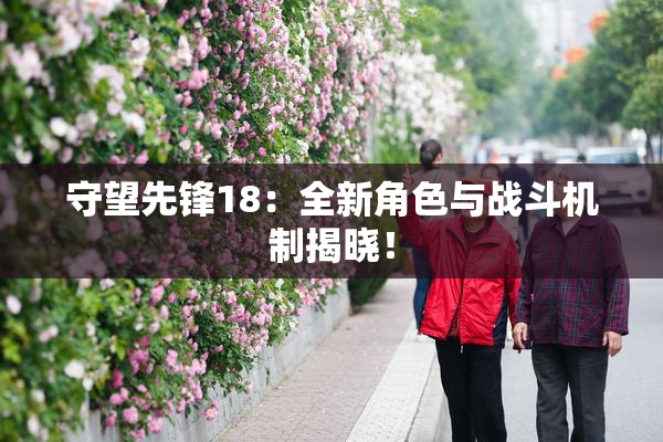 守望先锋18：全新角色与战斗机制揭晓！