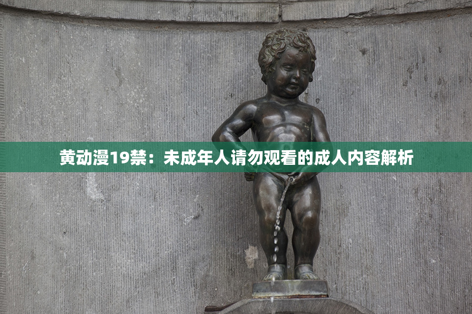 黄动漫19禁：未成年人请勿观看的成人内容解析