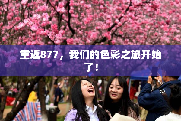 重返877，我们的色彩之旅开始了！