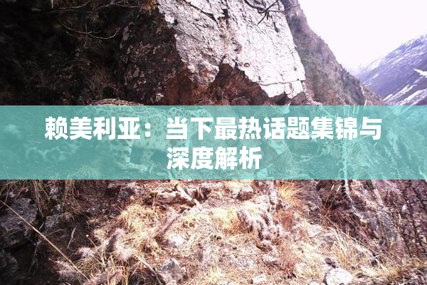赖美利亚：当下最热话题集锦与深度解析