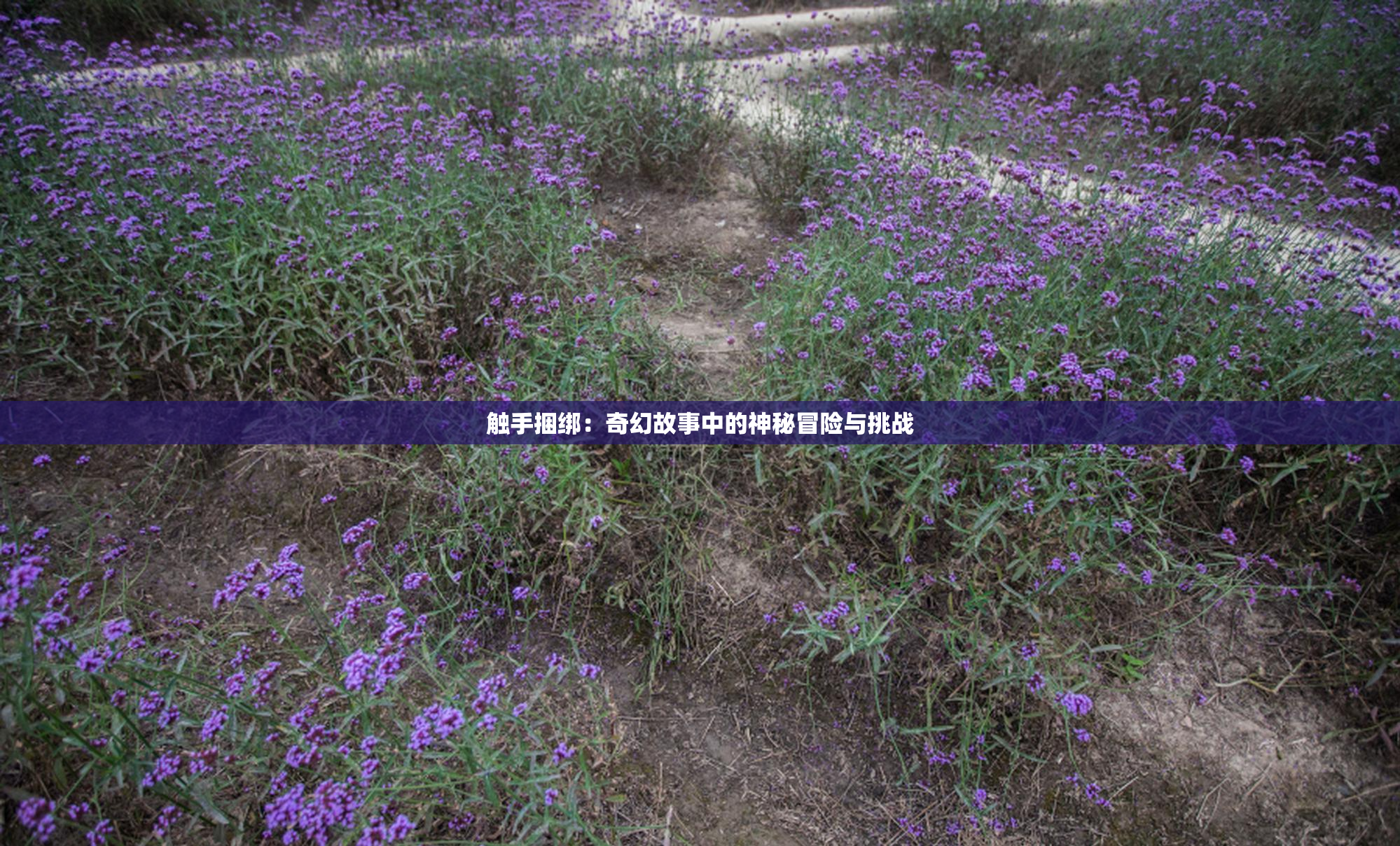 触手捆绑：奇幻故事中的神秘冒险与挑战