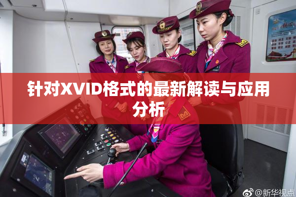 针对XVID格式的最新解读与应用分析