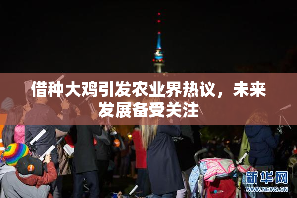 借种大鸡引发农业界热议，未来发展备受关注