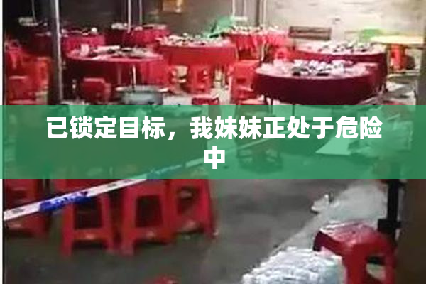 已锁定目标，我妹妹正处于危险中