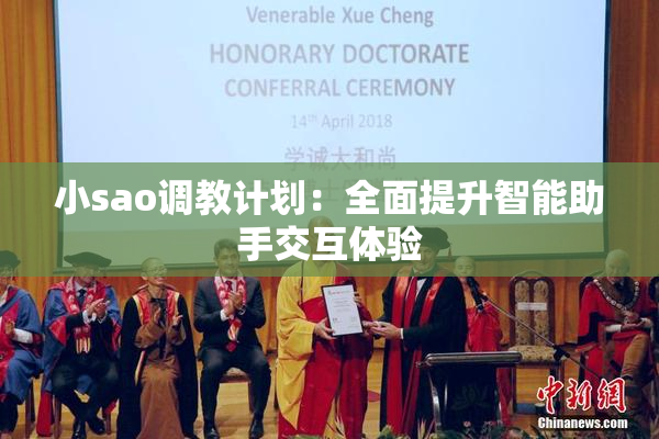 小sao调教计划：全面提升智能助手交互体验