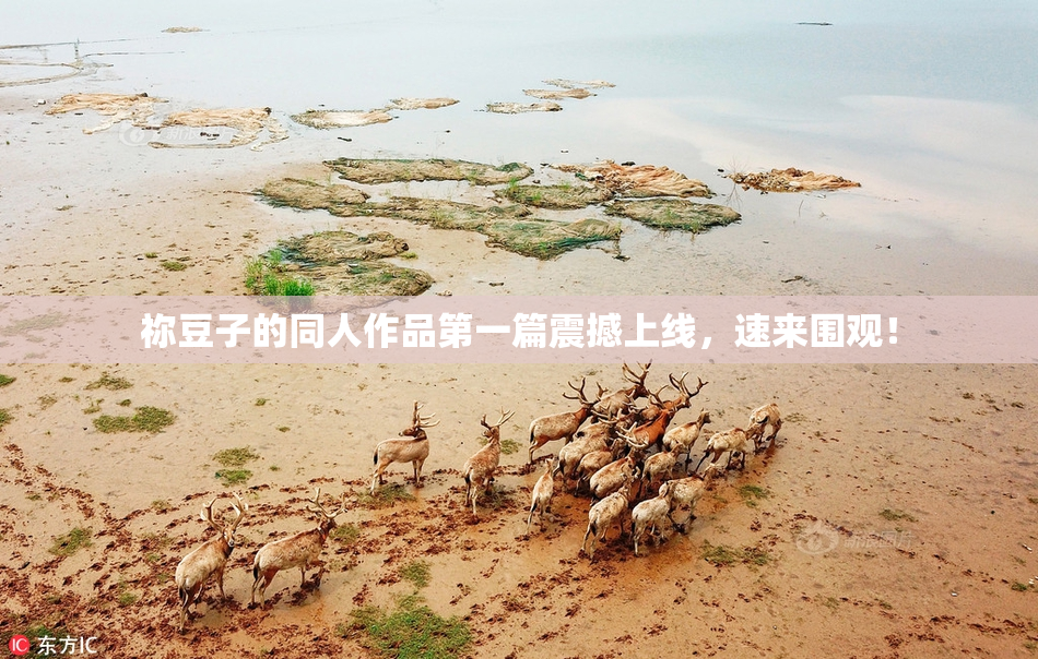 祢豆子的同人作品第一篇震撼上线，速来围观！
