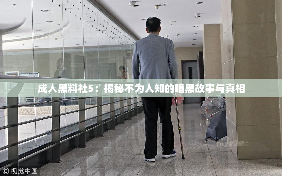 成人黑料社5：揭秘不为人知的暗黑故事与真相
