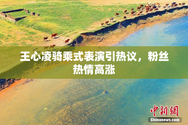 王心凌骑乘式表演引热议，粉丝热情高涨