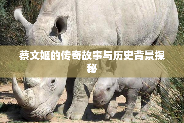 蔡文姬的传奇故事与历史背景探秘