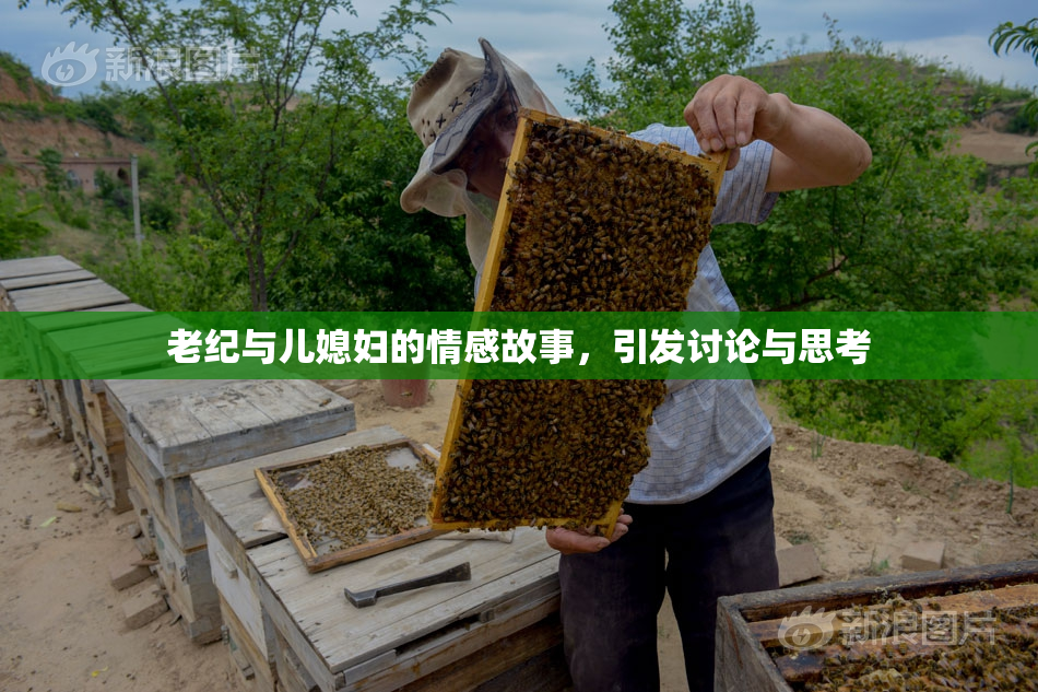 老纪与儿媳妇的情感故事，引发讨论与思考