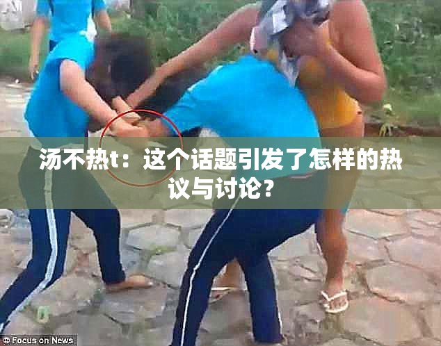汤不热t：这个话题引发了怎样的热议与讨论？