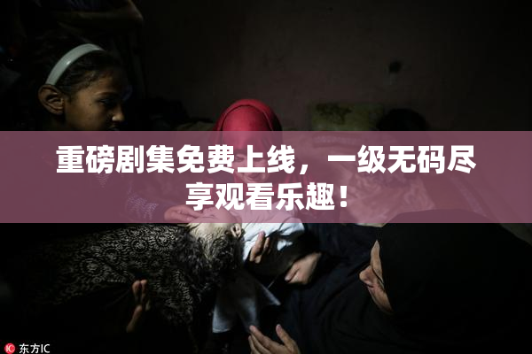 重磅剧集免费上线，一级无码尽享观看乐趣！