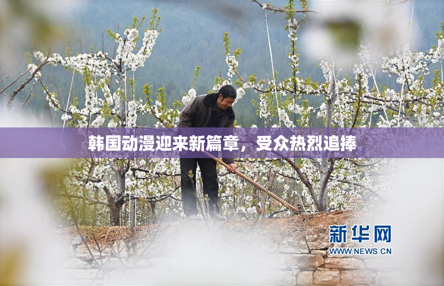 韩国动漫迎来新篇章，受众热烈追捧