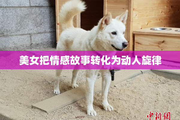美女把情感故事转化为动人旋律