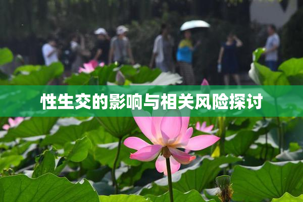 性生交的影响与相关风险探讨