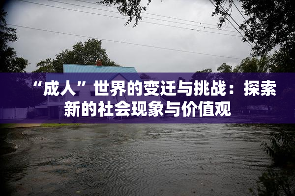 “成人”世界的变迁与挑战：探索新的社会现象与价值观