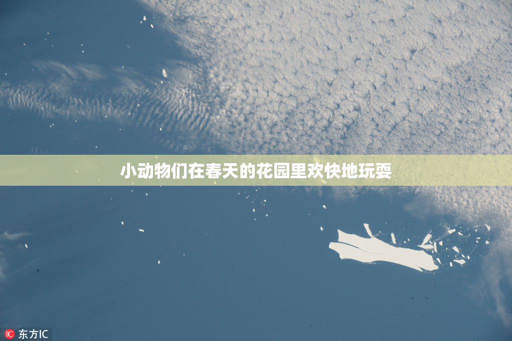 小动物们在春天的花园里欢快地玩耍