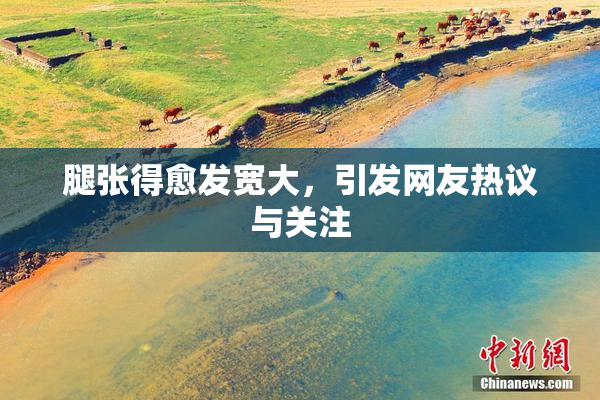 腿张得愈发宽大，引发网友热议与关注