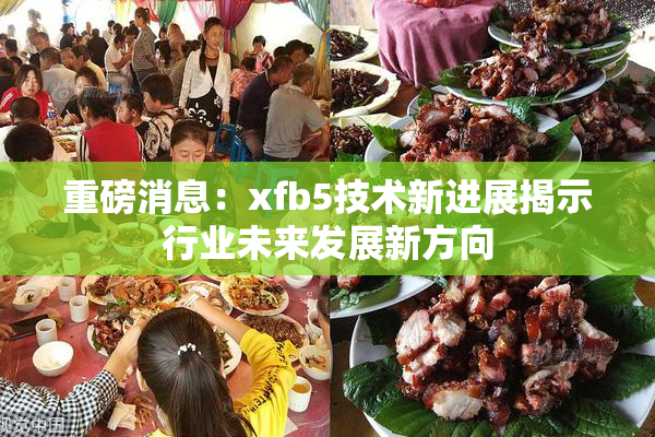 重磅消息：xfb5技术新进展揭示行业未来发展新方向