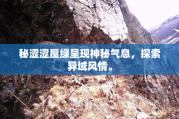 秘涩涩屋绿呈现神秘气息，探索异域风情。