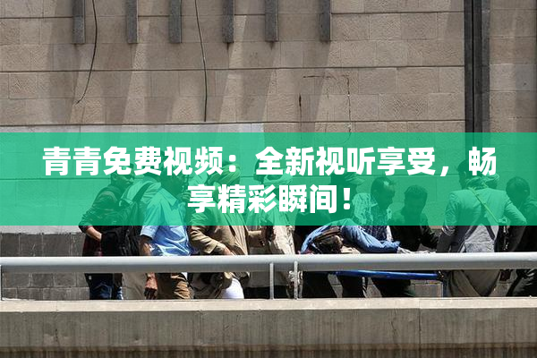 青青免费视频：全新视听享受，畅享精彩瞬间！