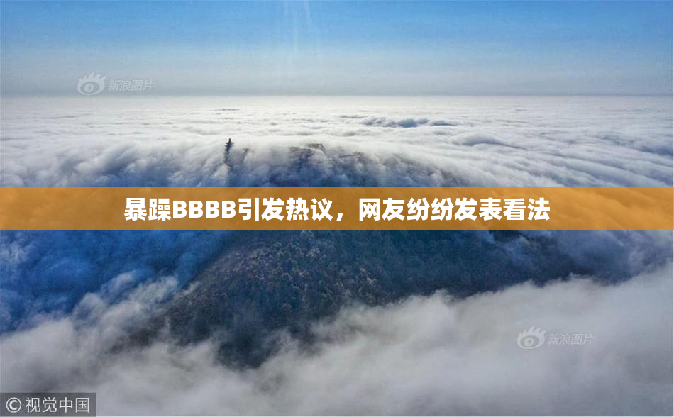 暴躁BBBB引发热议，网友纷纷发表看法