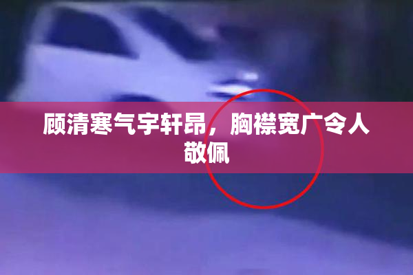 顾清寒气宇轩昂，胸襟宽广令人敬佩