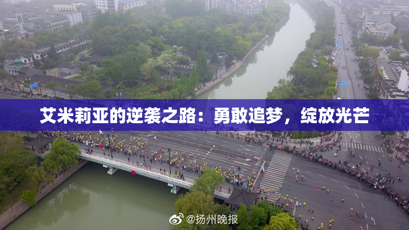艾米莉亚的逆袭之路：勇敢追梦，绽放光芒