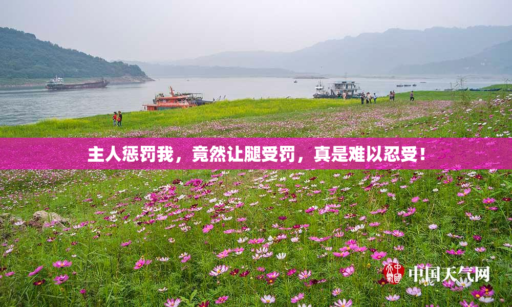 主人惩罚我，竟然让腿受罚，真是难以忍受！