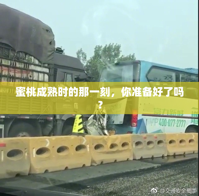 蜜桃成熟时的那一刻，你准备好了吗？