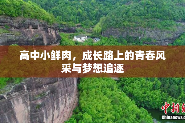 高中小鲜肉，成长路上的青春风采与梦想追逐