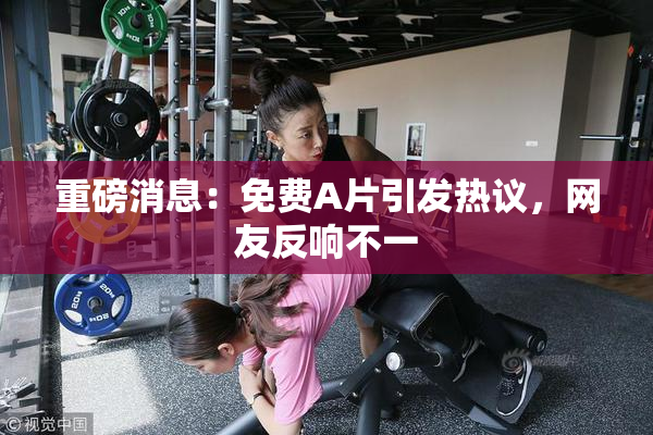 重磅消息：免费A片引发热议，网友反响不一