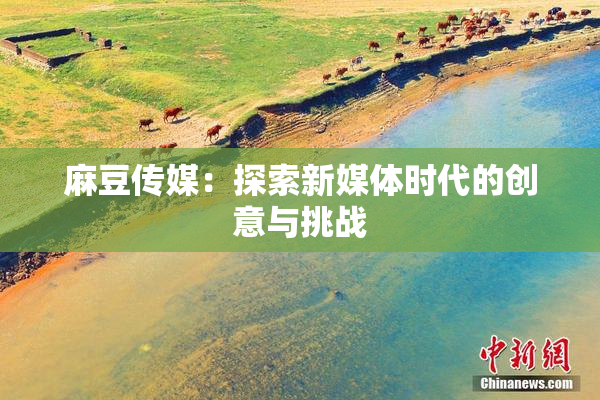 麻豆传媒：探索新媒体时代的创意与挑战