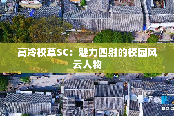 高冷校草SC：魅力四射的校园风云人物
