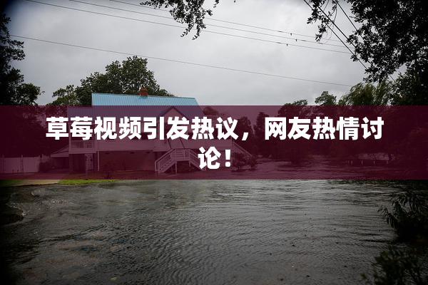 草莓视频引发热议，网友热情讨论！