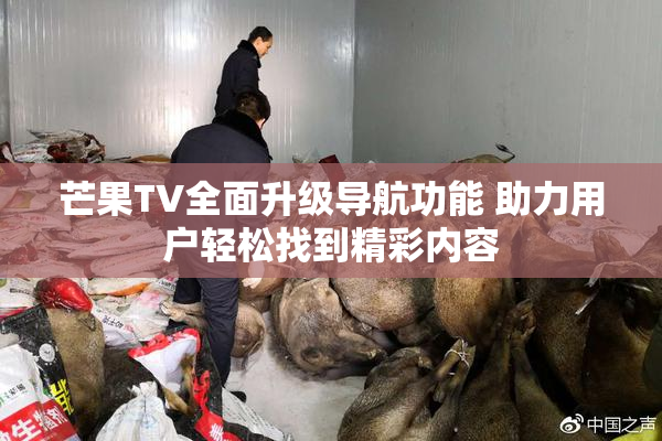 芒果TV全面升级导航功能 助力用户轻松找到精彩内容