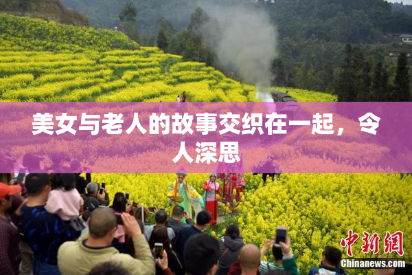 美女与老人的故事交织在一起，令人深思