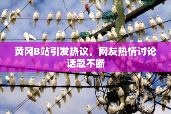 黄冈B站引发热议，网友热情讨论话题不断